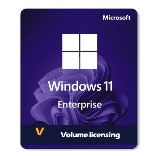 Windows 11 Enterprise