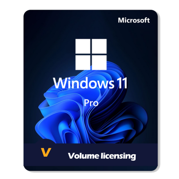 Windows-11-Pro