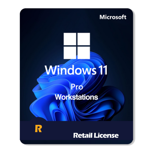 windows-11-pro-Workstations-retail
