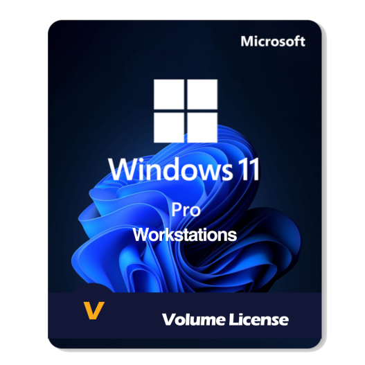 windows-11-pro-Workstations-volume
